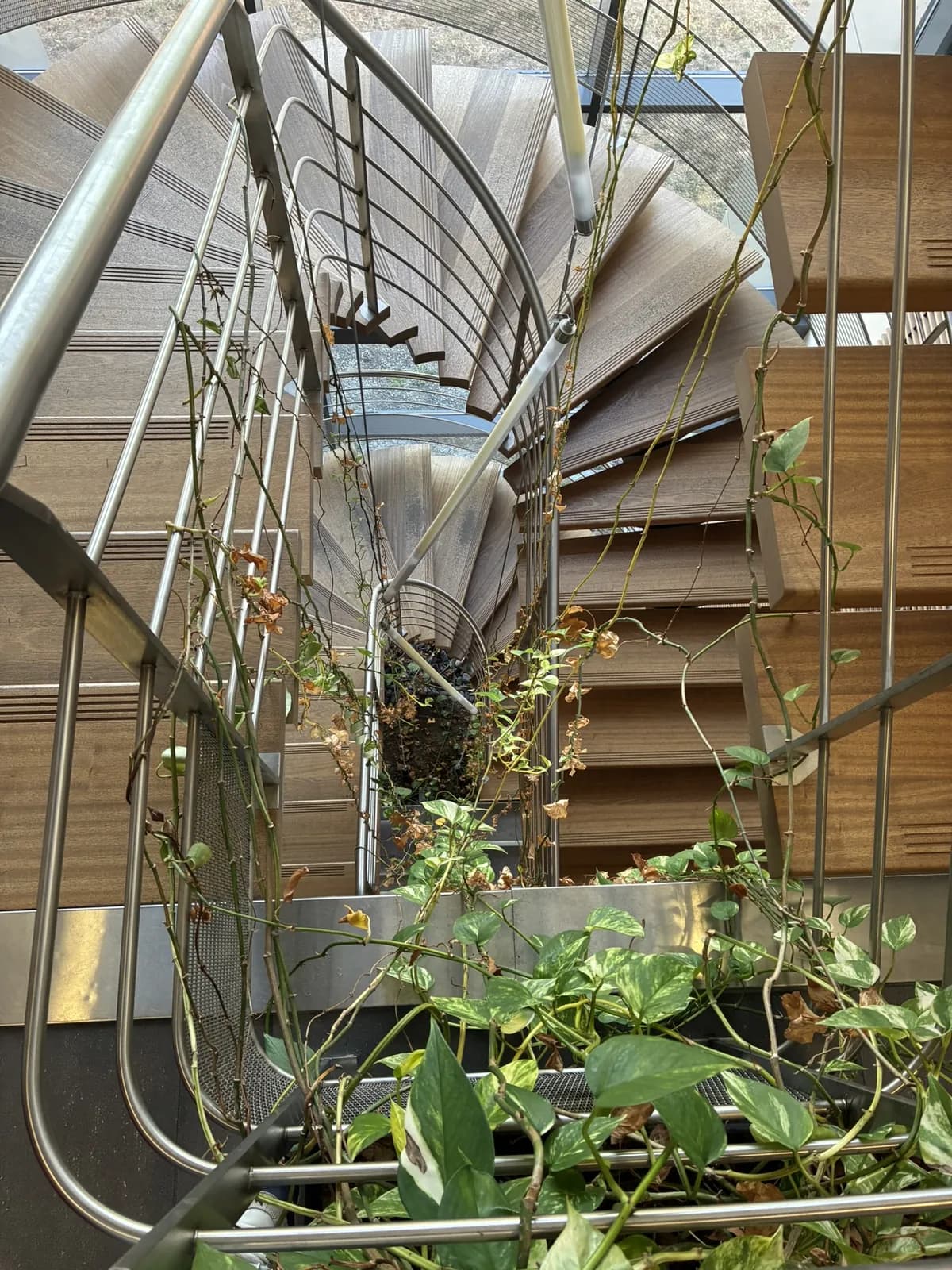 Escalier hélicoïdal végétalisé des locaux du Groupe CTA